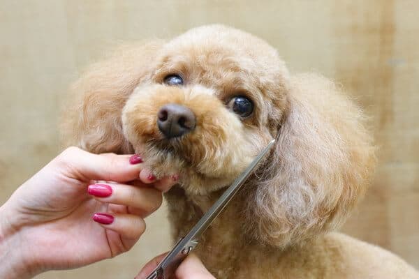 PET-SPA日進店の写真