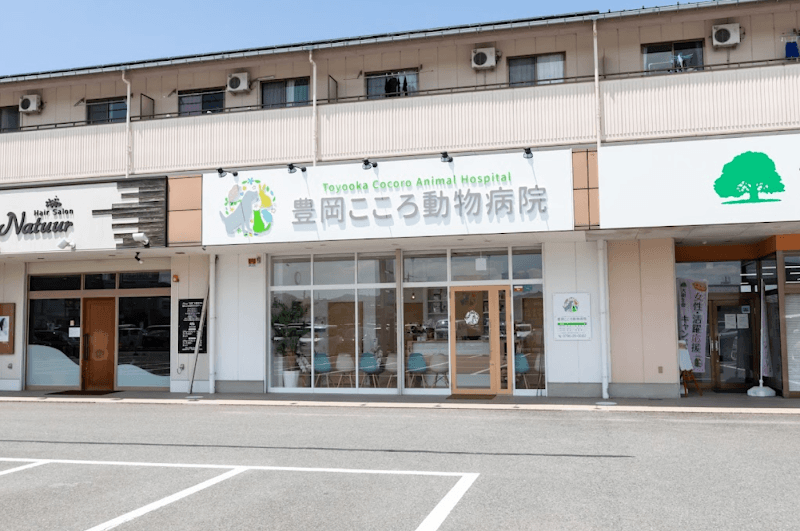 豊岡こころ動物病院の写真