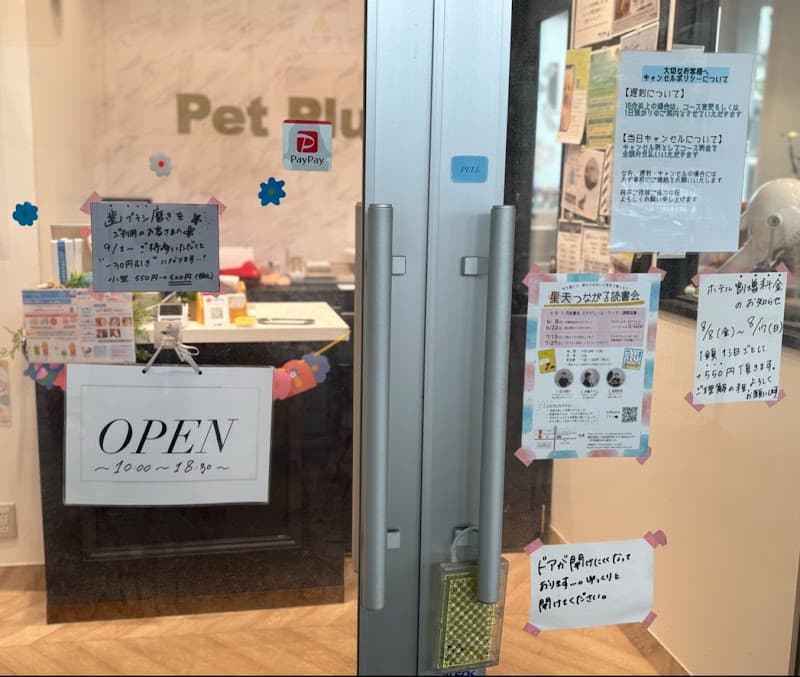 ペットプラス トリミングサロン 星天qlay店の写真3