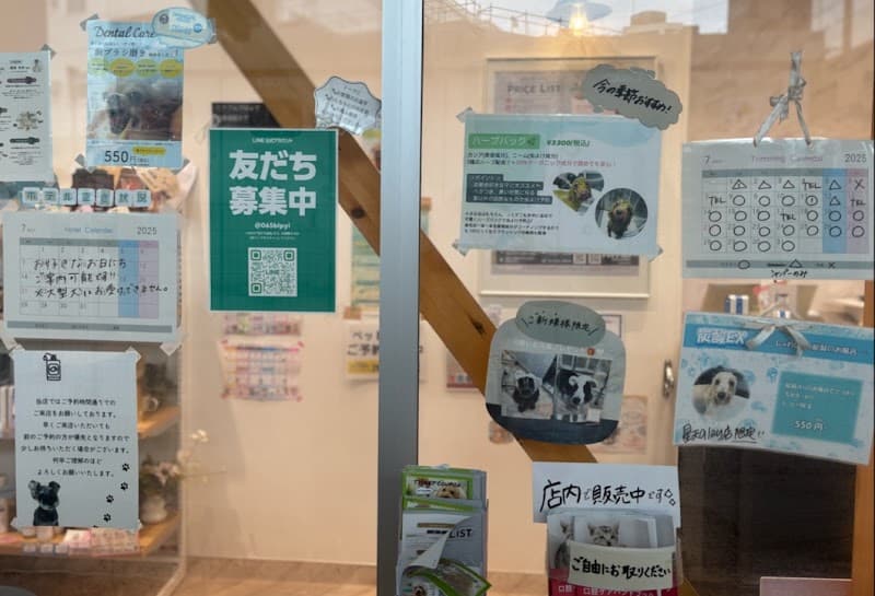 ペットプラス トリミングサロン 星天qlay店の写真5