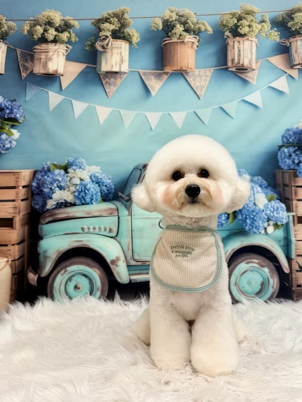Dog Salon PONOの写真