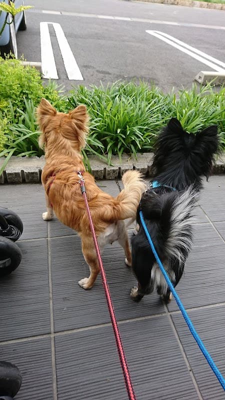 あず動物病院の写真