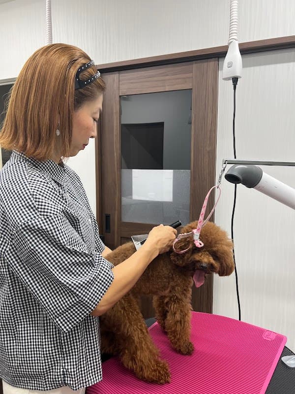 愛犬サロン 本店の写真