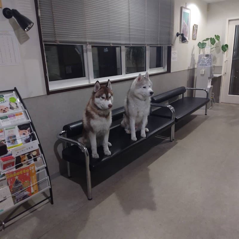西岡ペットクリニック〜犬と猫の整形外科の写真