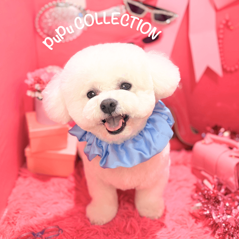 PuPu COLLECTIONの写真4
