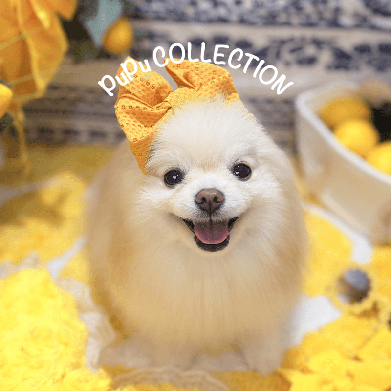 PuPu COLLECTIONの写真5