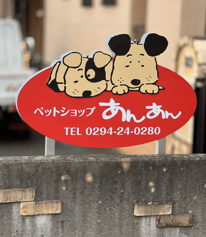 ペットショップあんあんの写真