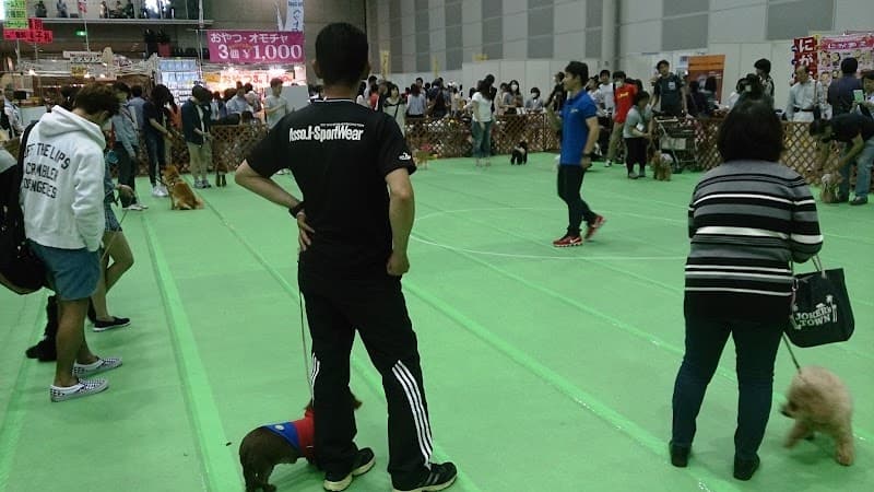 Dog Nit'sの写真