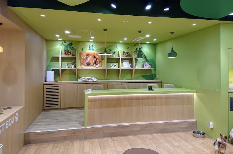 いぬカフェRio 仙台店の写真