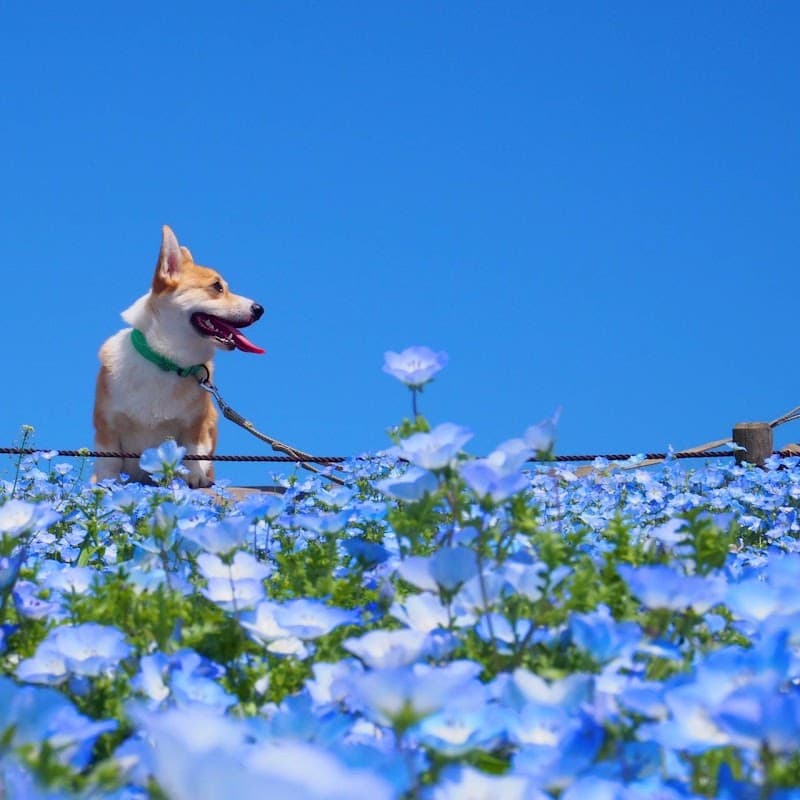 みなとまちアニマルクリニック(清水区動物医療センター)の写真
