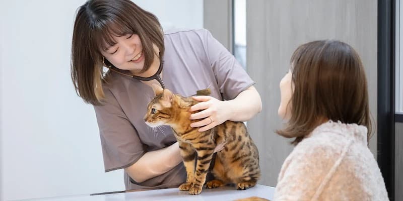 ボネールどうぶつ病院の写真