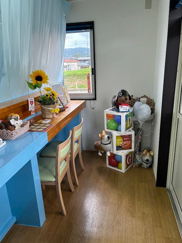 Dog Salon Colory(ドッグサロンからりー)の写真3