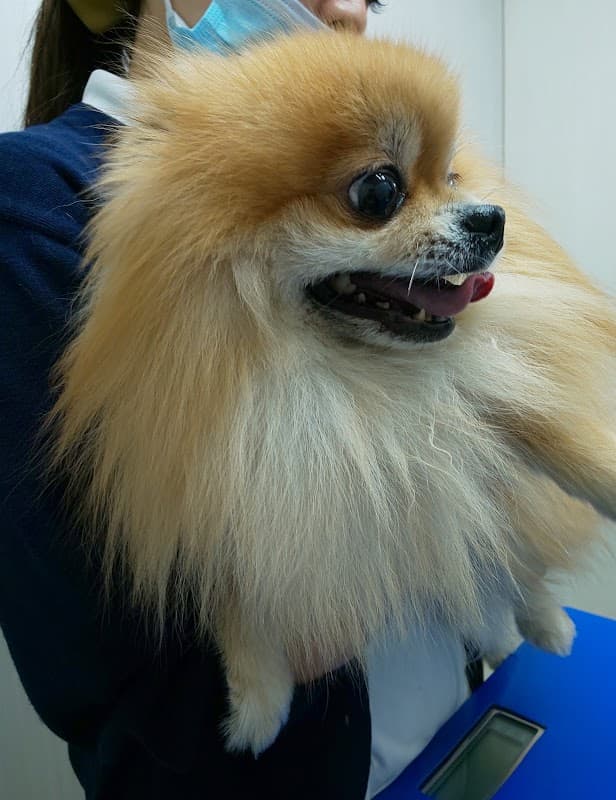 阿波座動物医療センターの写真