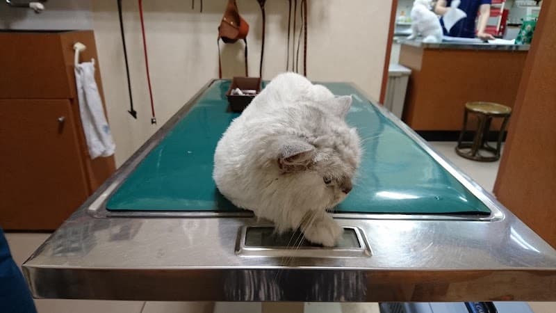高橋動物病院の写真