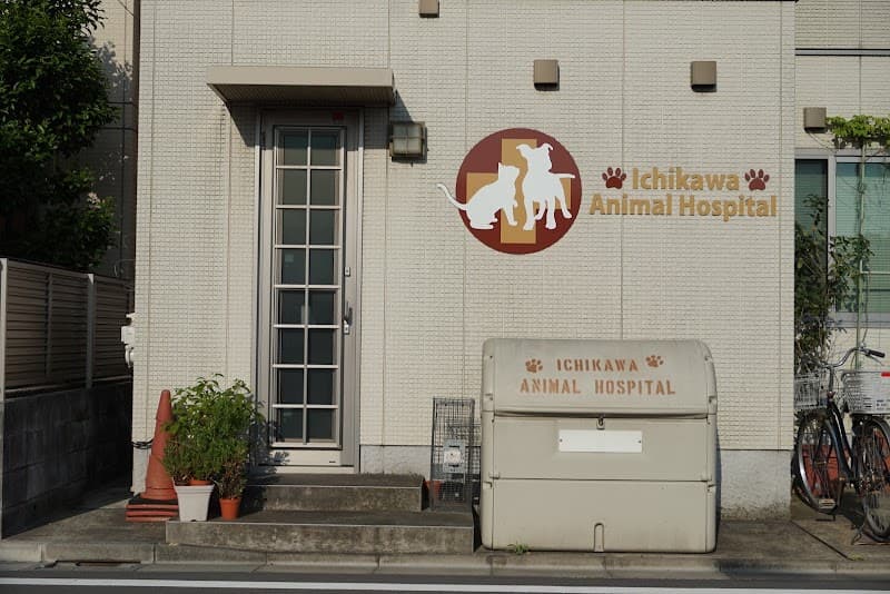 市川動物病院の写真