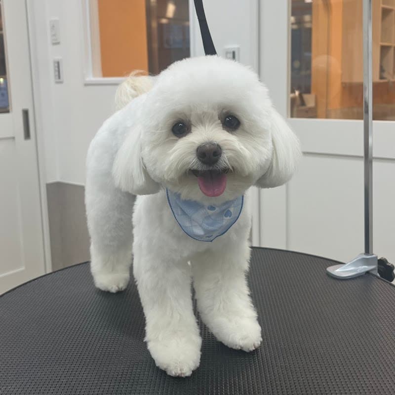 Pets Tokyo飯田橋店の写真2