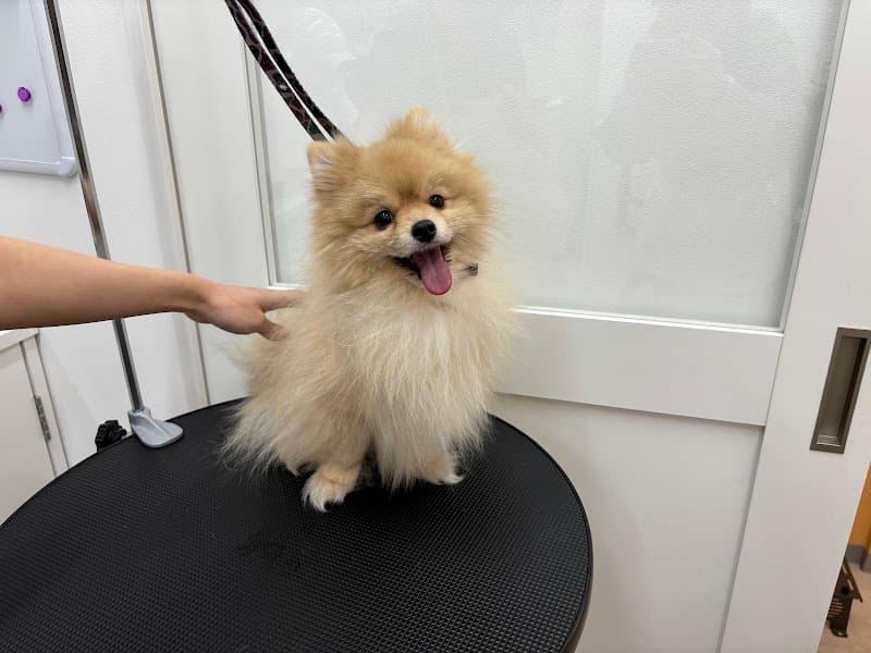 Pets Tokyo飯田橋店の写真4