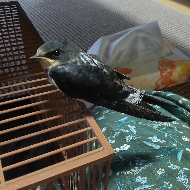 紫峰ヶ丘動物病院の写真