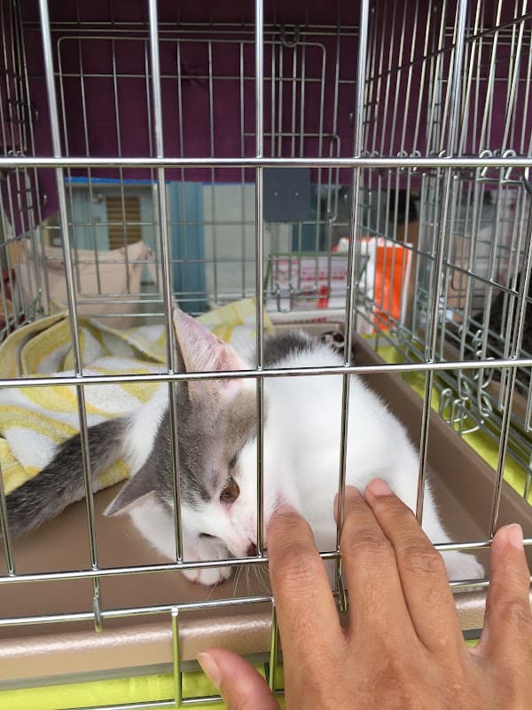 ながみねどうぶつクリニックの写真