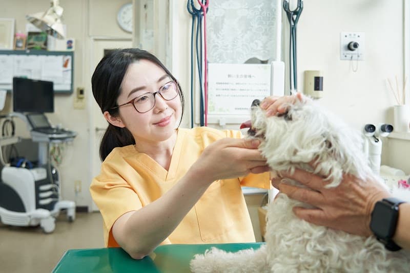 塚越動物病院の写真