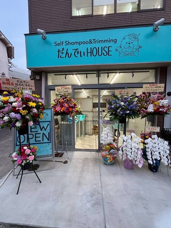 だんでぃHOUSE トリミングサロンの写真