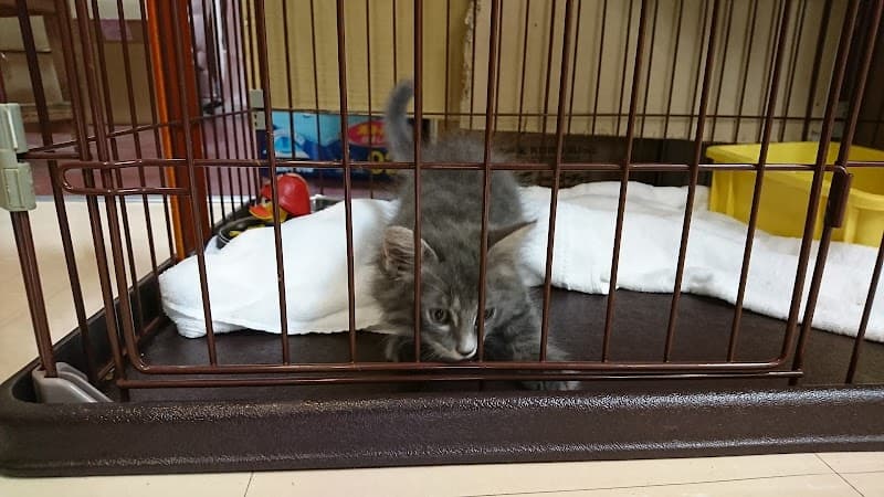 益田ペットクリニックの写真