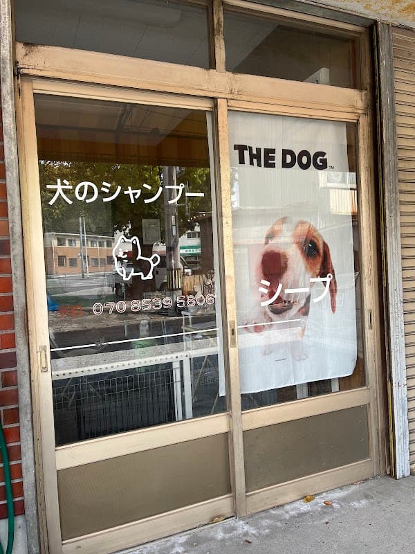 犬のシャンプー シープの写真