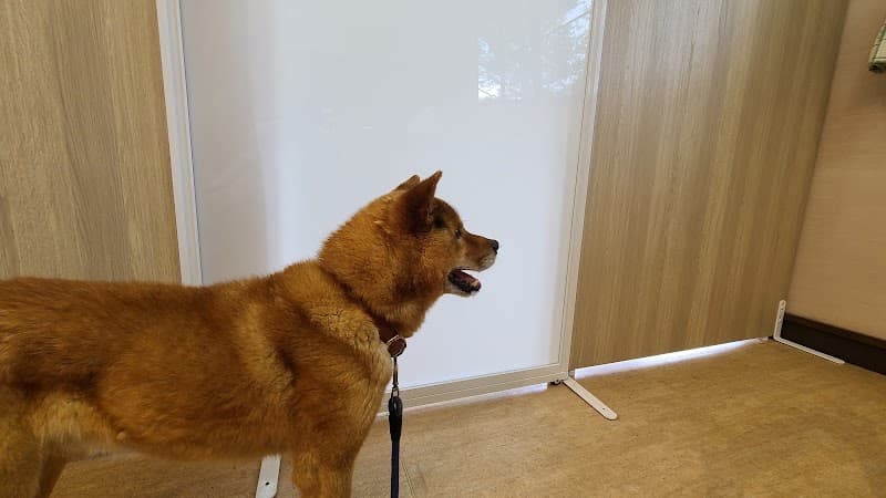 のべやま動物診療所の写真