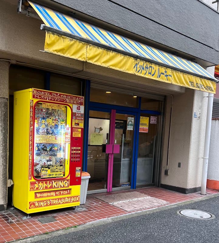 ペットサロンルーキーの写真