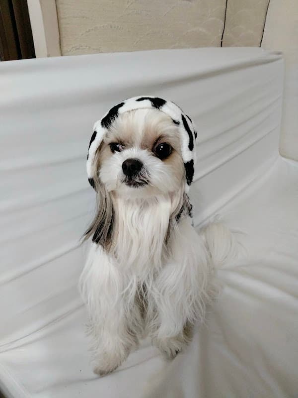 アニマルケアセンター うすき動物病院の写真