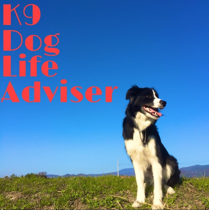K9 Dog Life Adviserの写真