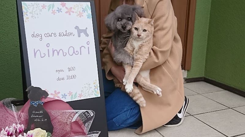 dogcaresalon nimariの写真