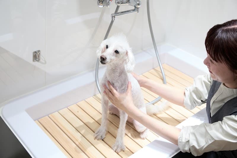 GREEN DOG SALON ILOR グラングリーン大阪の写真