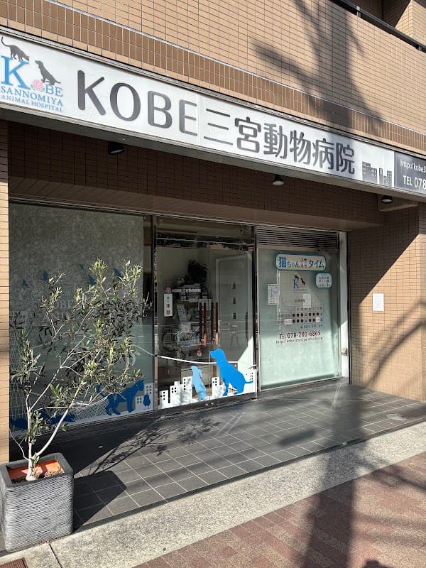 KOBE三宮動物病院の写真