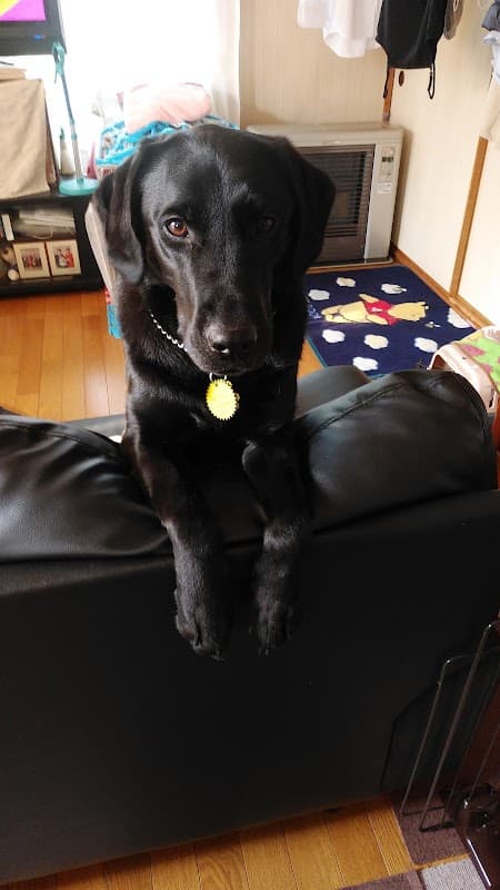 ペットサロンMの写真