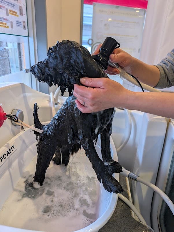 Bubbly SPA わんの写真3
