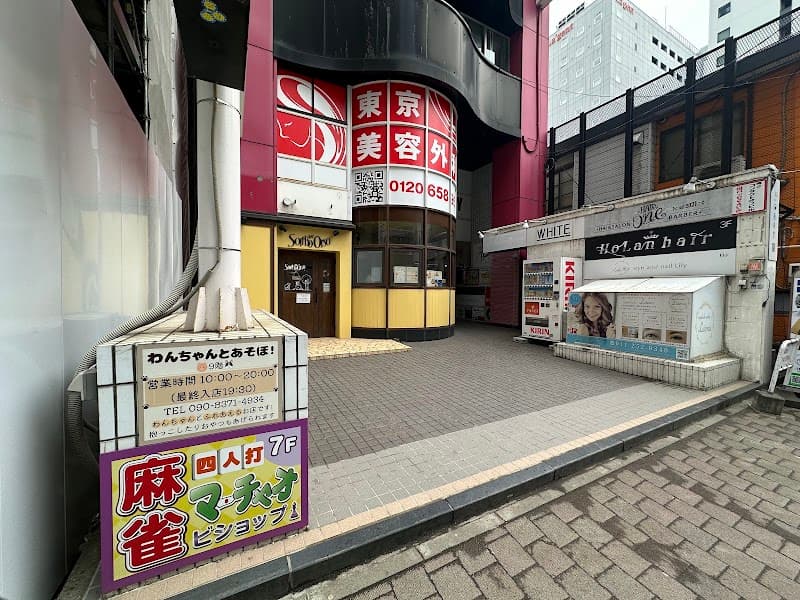 わんちゃんとあそぼ!の写真