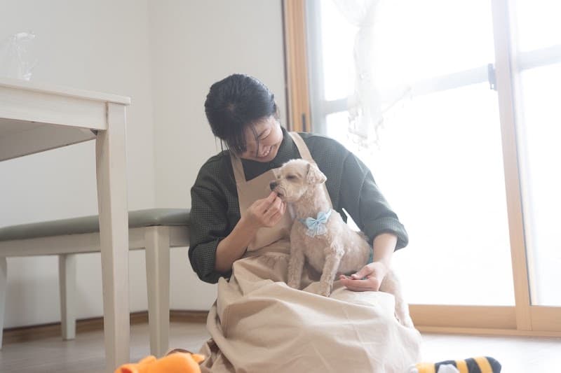 pet salon Qの写真1