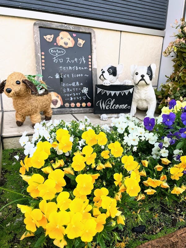 ドッグサロンメリーの写真