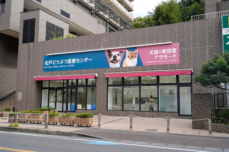 トリミングサロンアラモード 松戸駅前店の写真