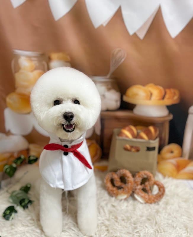 ペットホテル&トリミングサロン ワンルーク千代田区秋葉原店の写真3