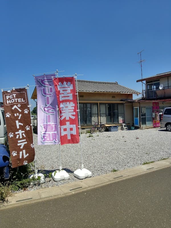 犬猫倶楽部ウィズ上尾店の写真