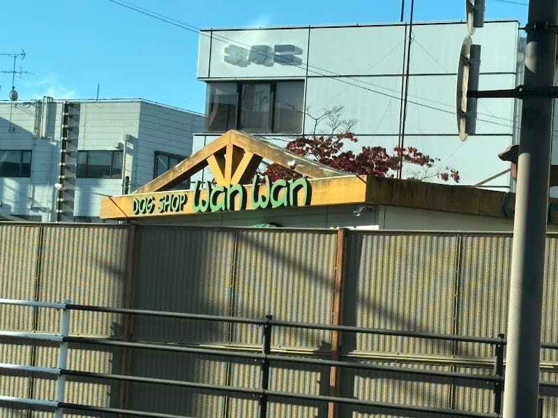 ワンワンの写真