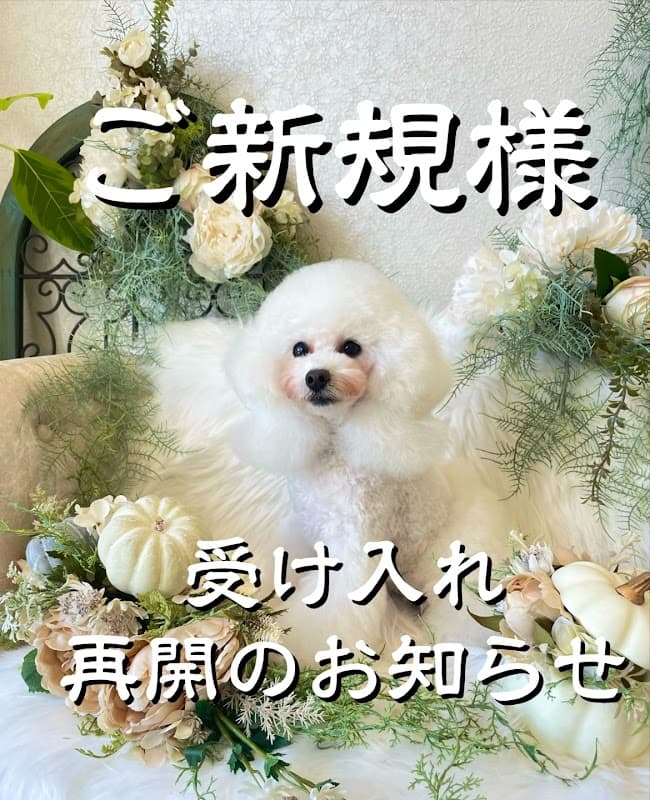 Dog Salon WIN 本庄上里店の写真