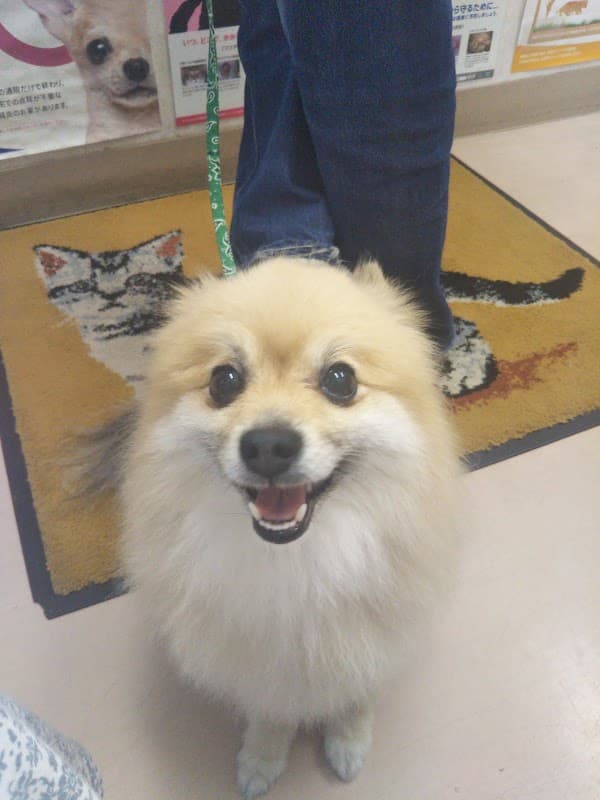 田園山田動物病院の写真