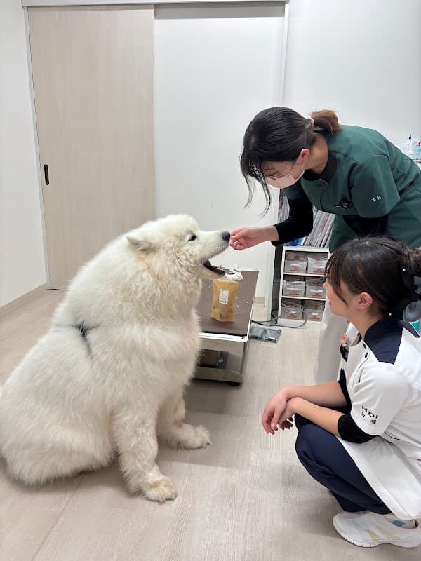 どうぶつの森クリニック(旧緑の森どうぶつ病院公園前クリニック)の写真