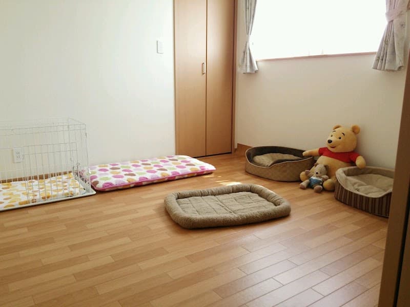 ペットケアハウスみんなのいえの写真