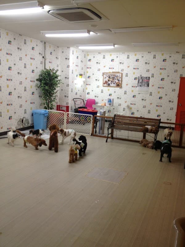 DOG・LIFEby−dogcomの写真2