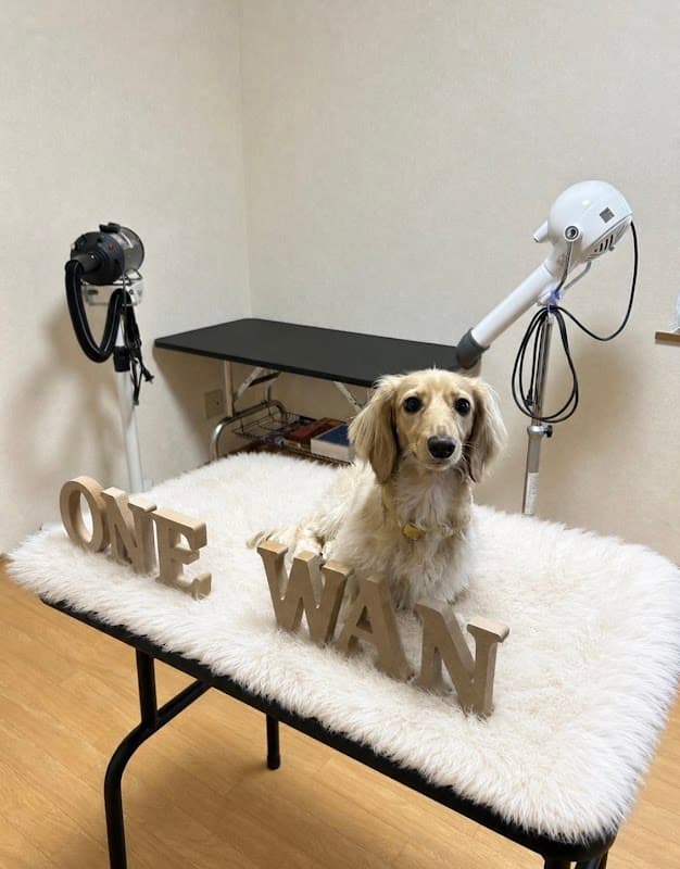 Pet Salon ONE WAN(ペットサロンわんわん)の写真2