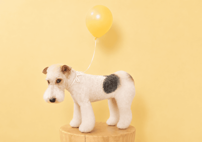 Pet Salon ONE WAN(ペットサロンわんわん)の写真5
